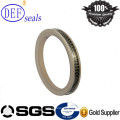 High Pressure Seal Spring Energized Seals